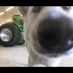 Meet your Posher, Corey